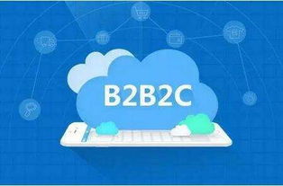 b2b2c平台开发